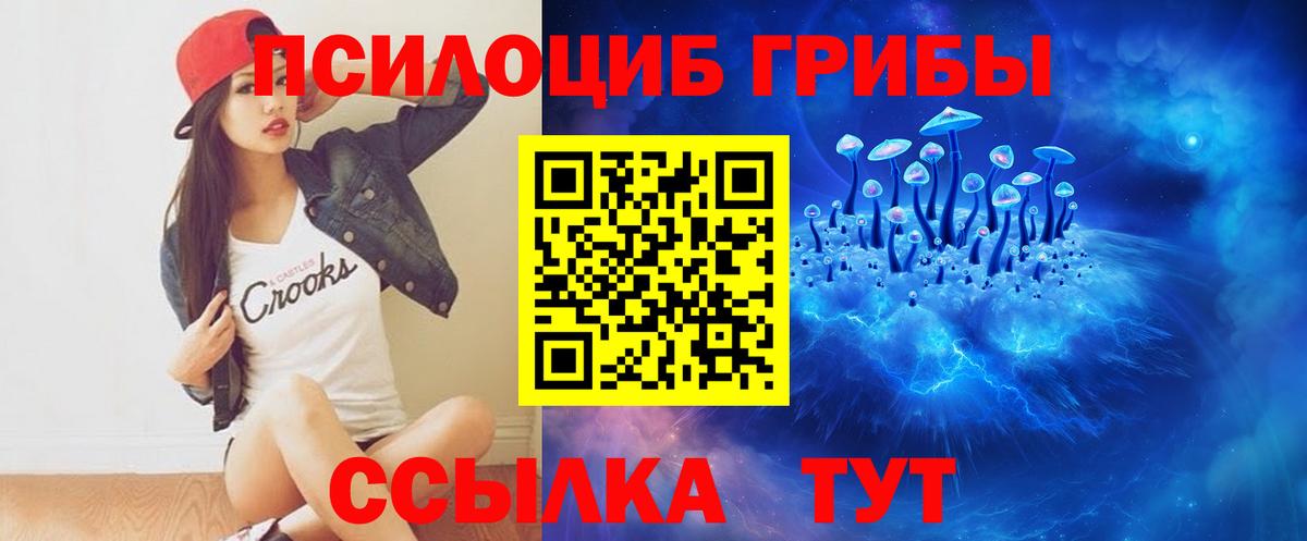 Псилоцибиновые грибы Psilocybe Всеволожск